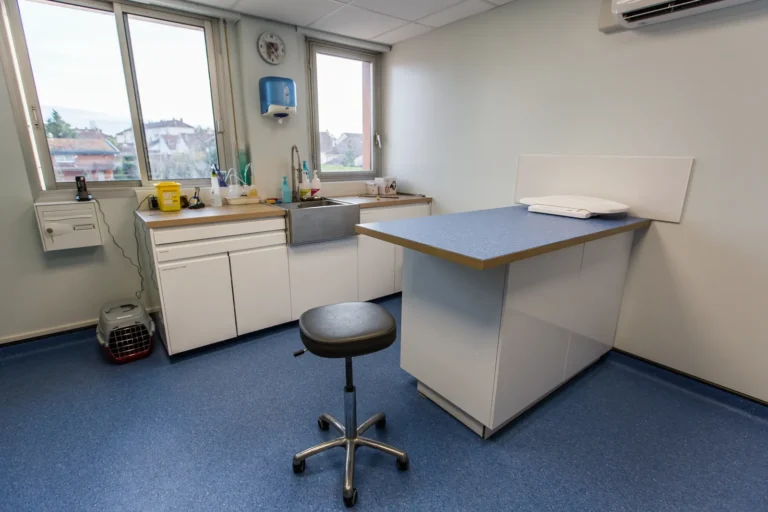 Salle de consultation de l'espace félin