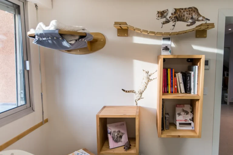 Passerelles et étagères murales pour chats
