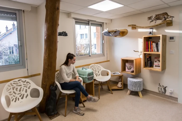 Cliente patientant dans la salle d'attente de l'espace félin