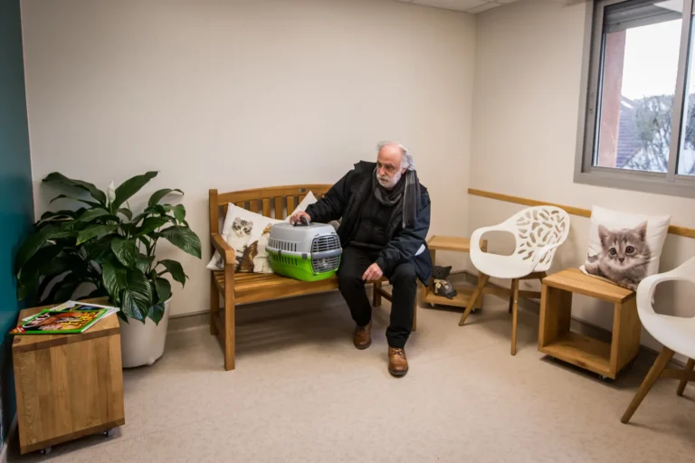 Client et son chat en caisse dans la salle d'attente féline