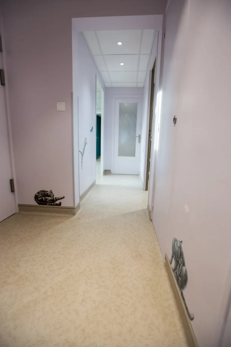 Couloir de l'espace félin