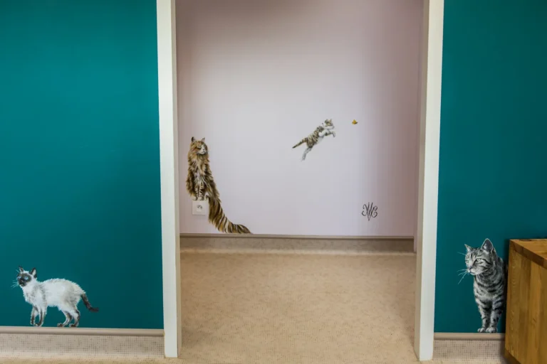 Fresques de chats sur les murs de la salle d'attente