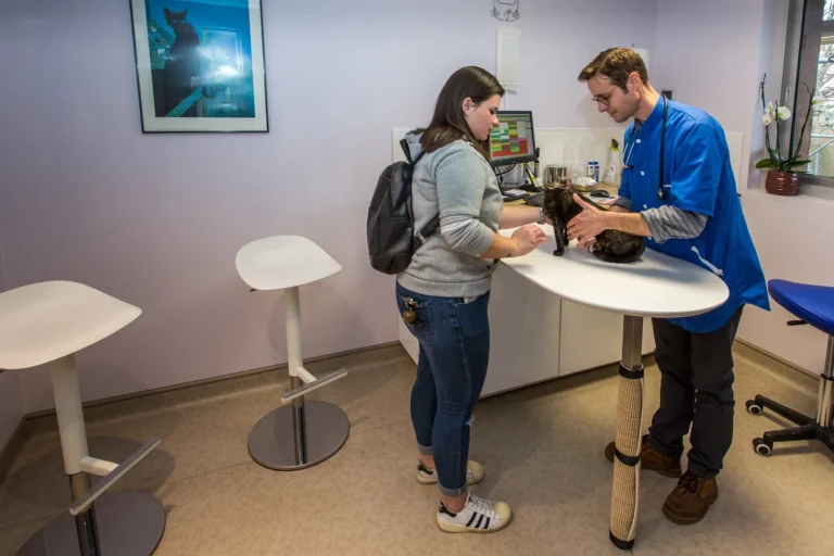 Vétérinaire et cliente avec son chat en consultation
