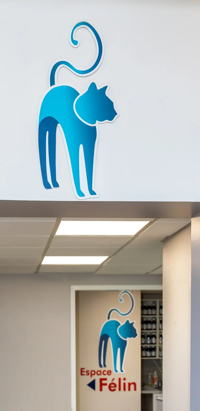 Chat bleu, emblème de l'espace félin