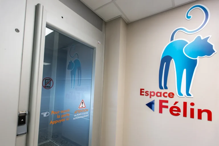 Porte d'entrée de l'espace félin