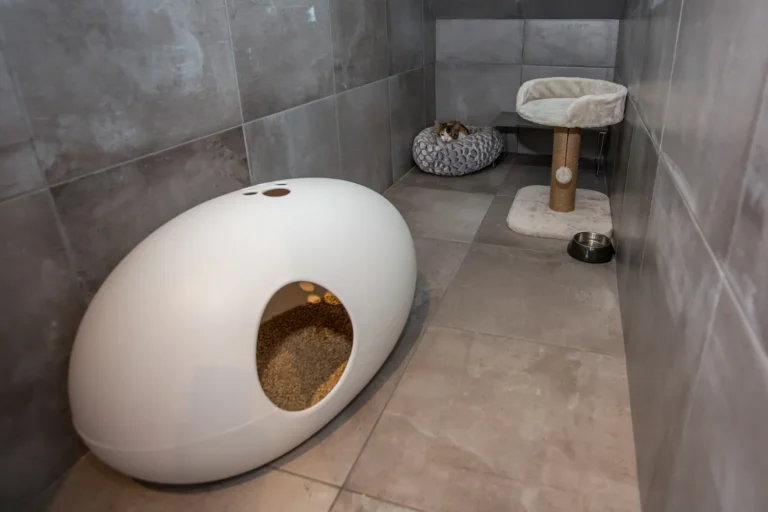 Box d'hospitalisation pour chat, vue d'ensemble
