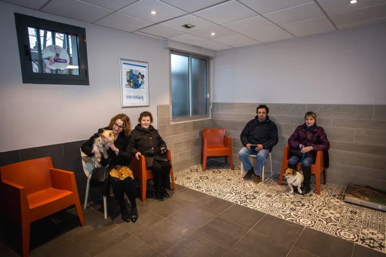 Salle d'attente du rez-de-chaussée avec des clients et leurs chiens