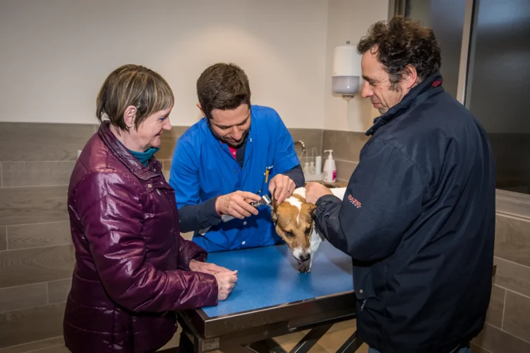 Consultation d'un chien avec ses propriétaires