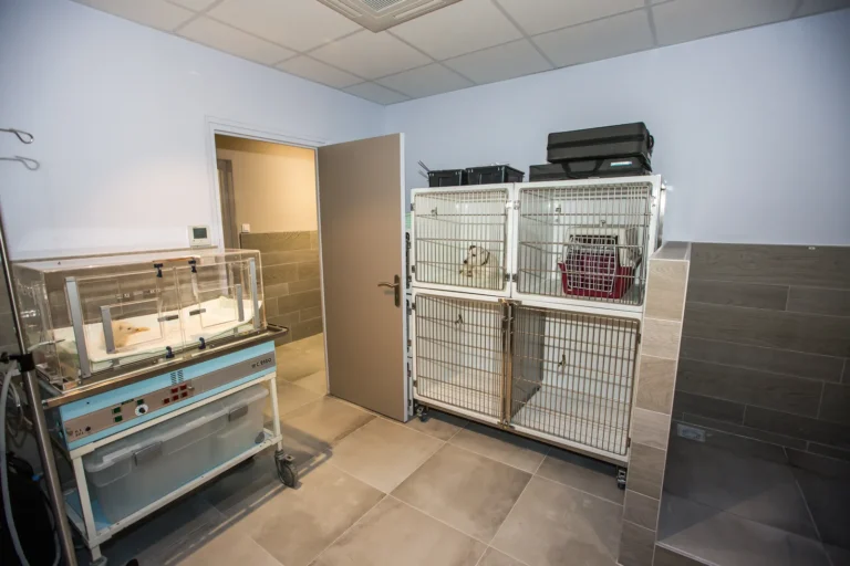 Salle d'hospitalisation et ses cages