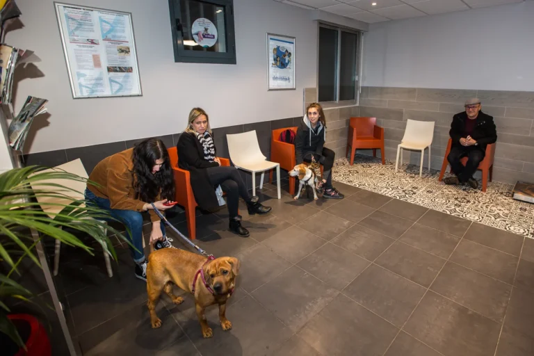Salle d'attente avec des clients et leurs chiens