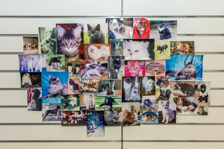 Mur de photos des patients de la clinique