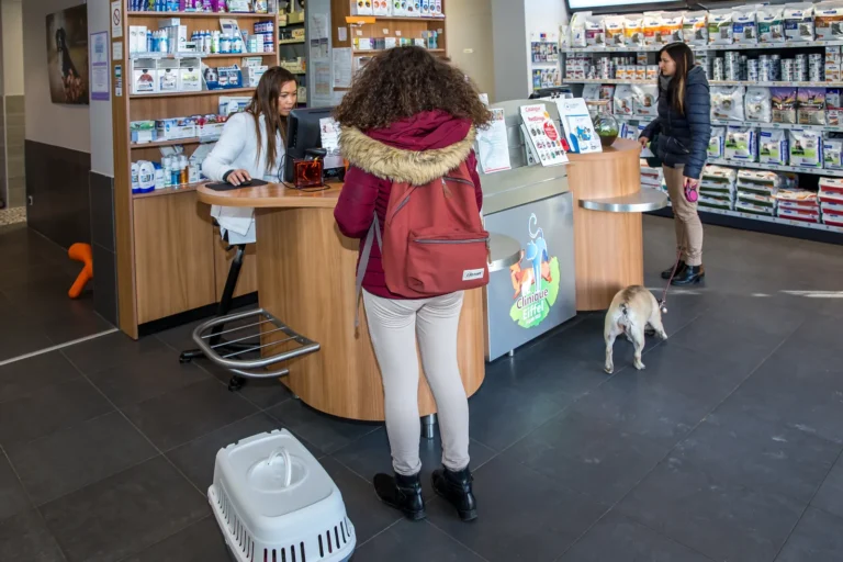 Accueil de la clinique : une cliente et son chien
