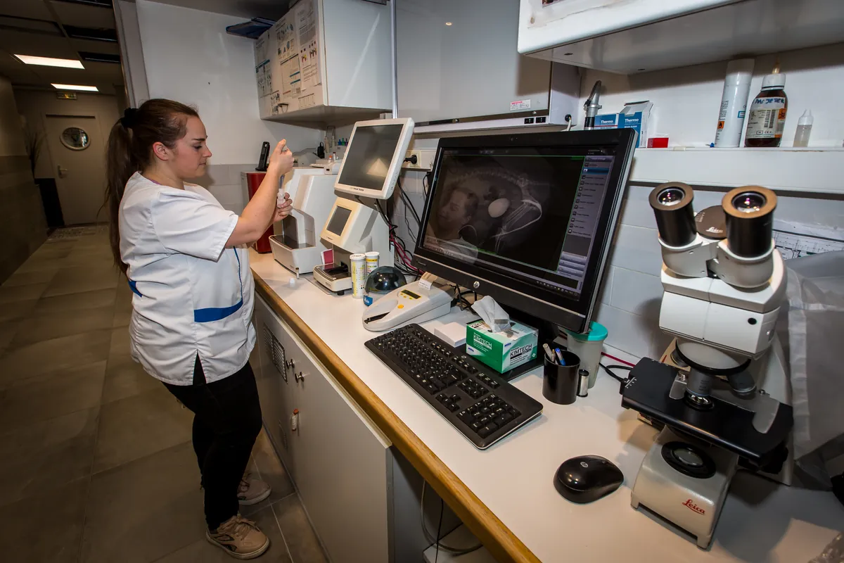Laboratoire d'analyses de la clinique